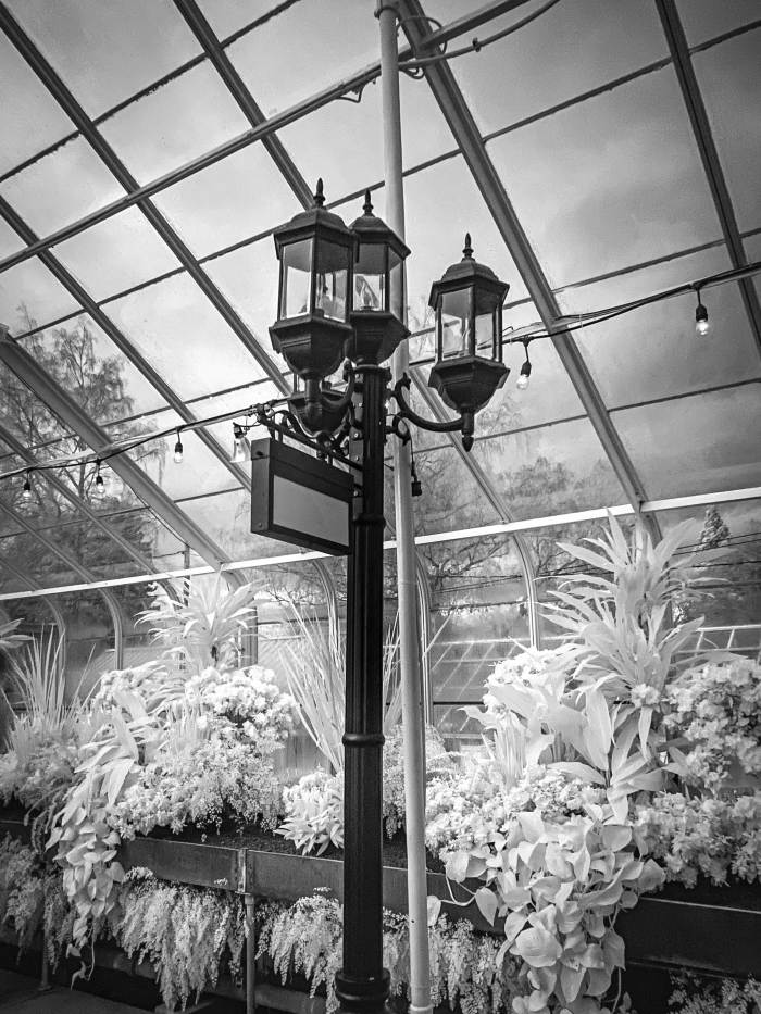 Seattle Photo Safari