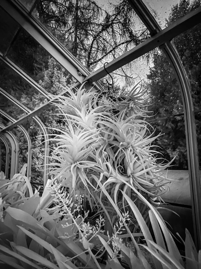Seattle Photo Safari
