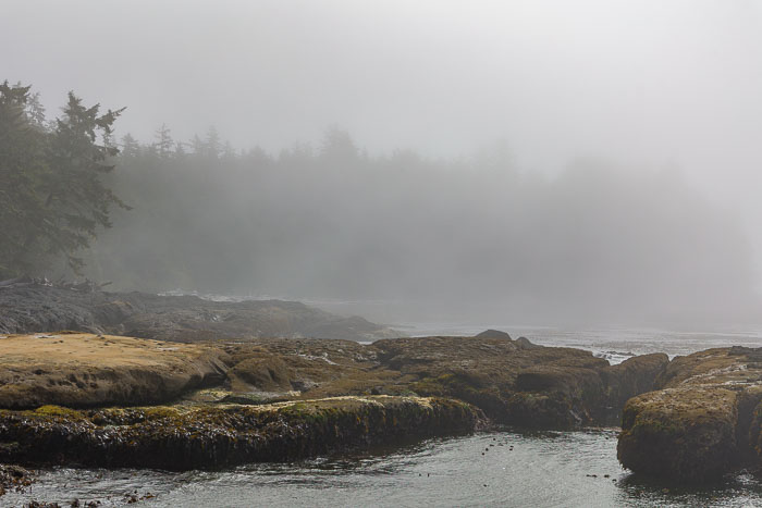 Botanical Beach