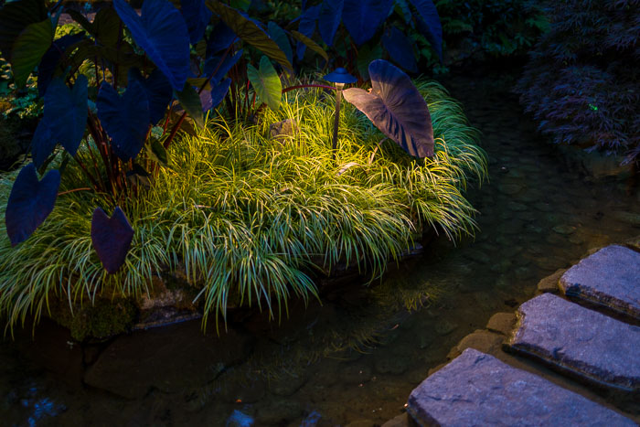 Buchart Gardens After Dark