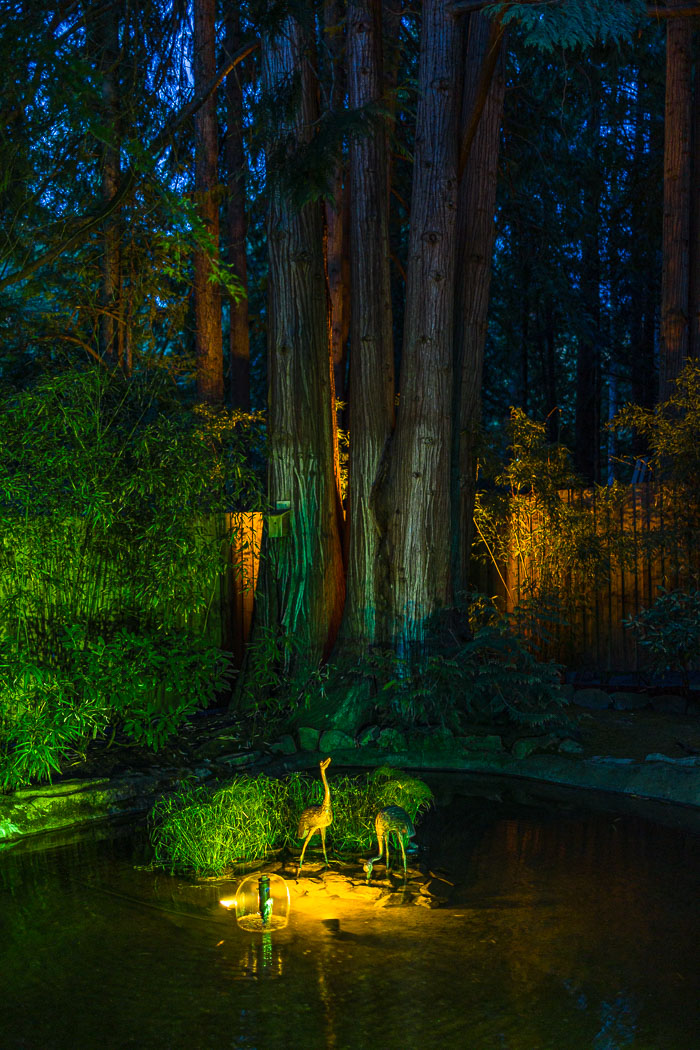 Buchart Gardens After Dark