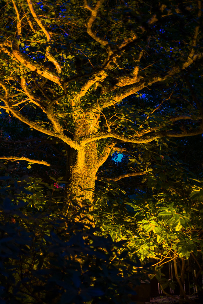 Buchart Gardens After Dark
