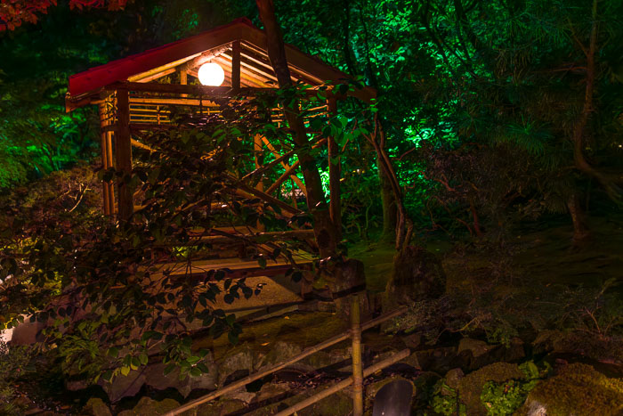 Buchart Gardens After Dark