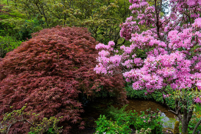 Buchart Gardens