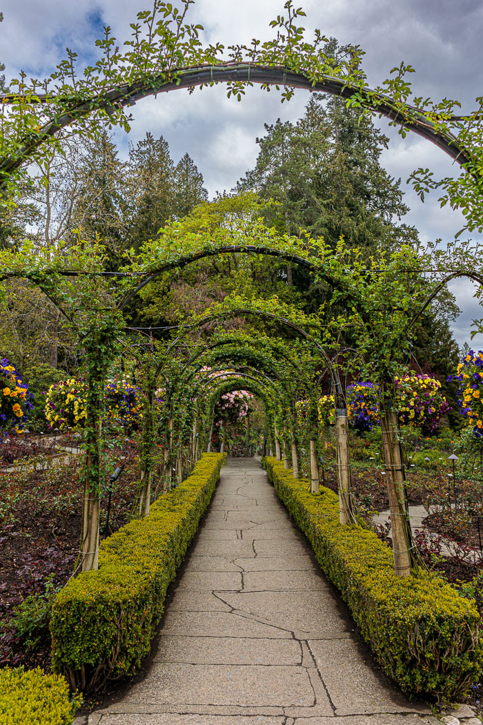 Buchart Gardens