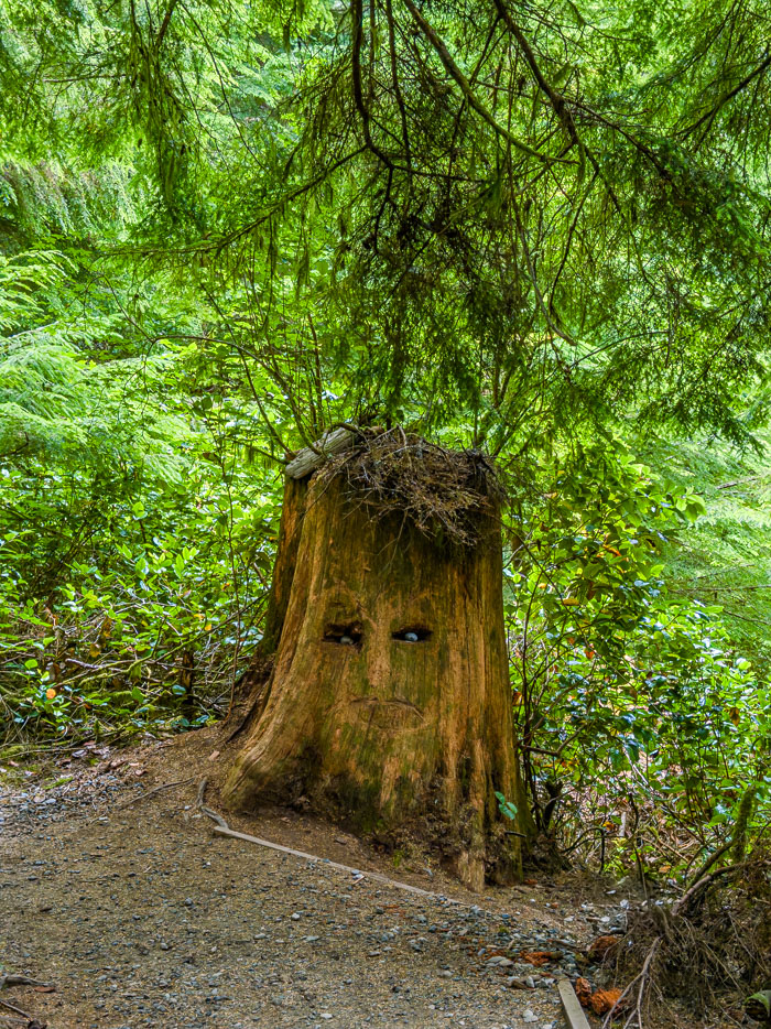Juan de Fuca Provincial Park & Port Rernfrew