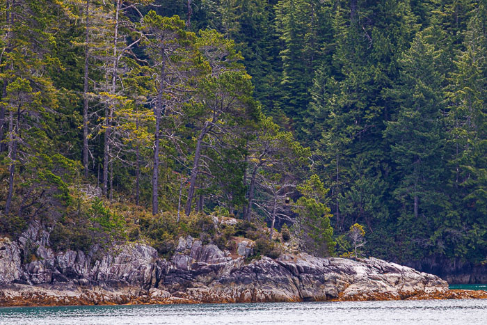 Nootka Sound