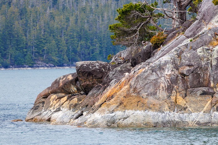 Nootka Sound