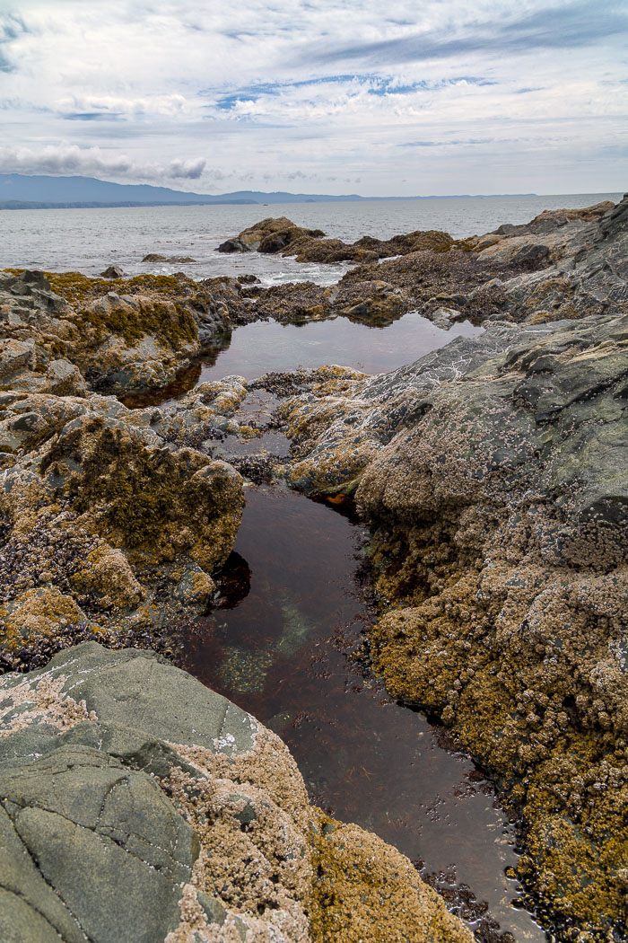 Nootka Sound