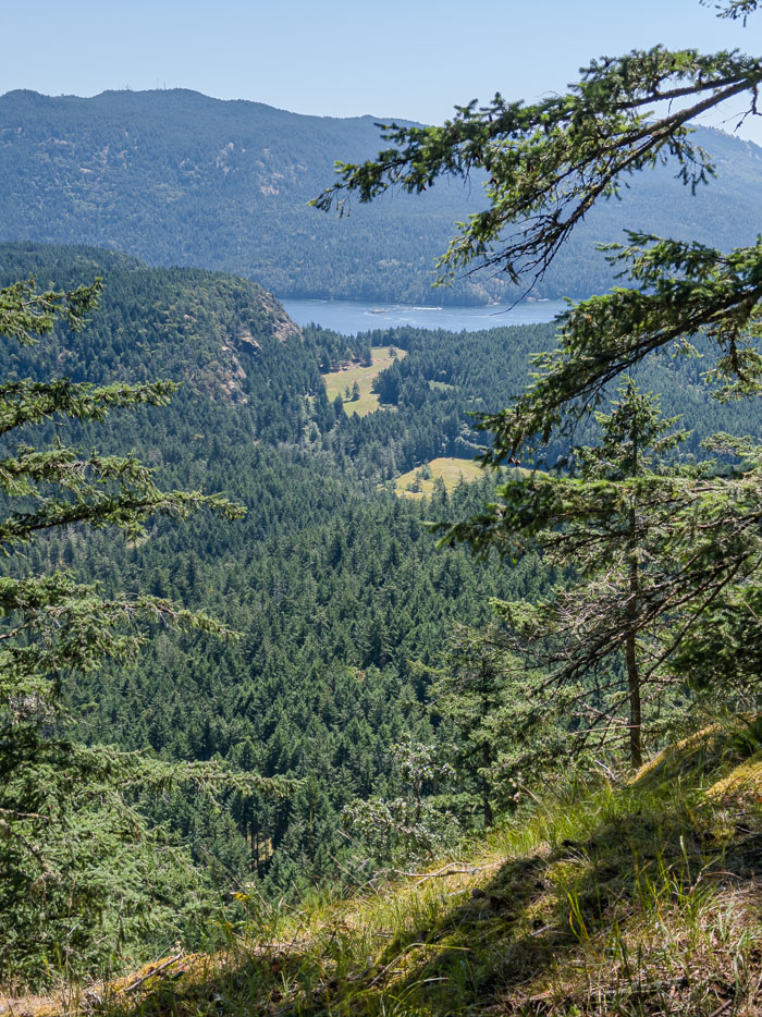 Vancouver Island Out and About