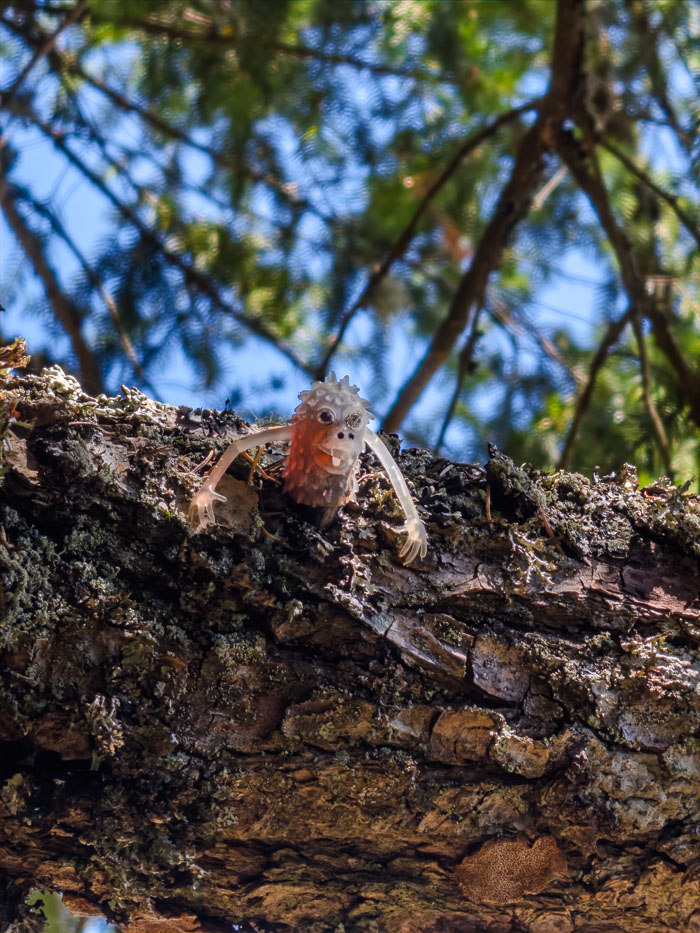 Vancouver Island Out and About