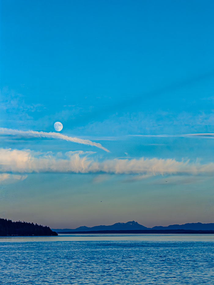 Vancouver Island Out and About