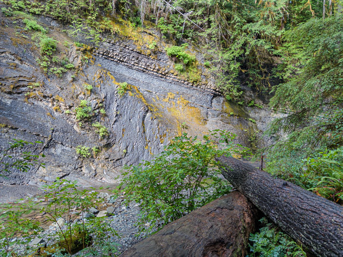 Vancouver Island Out and About