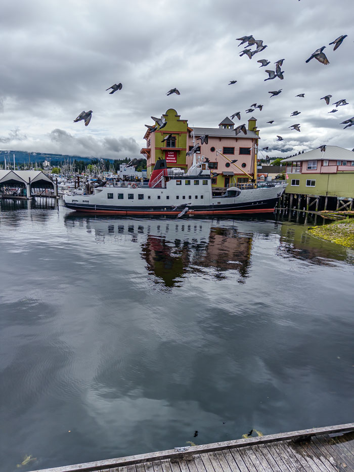 Vancouver Island Out and About