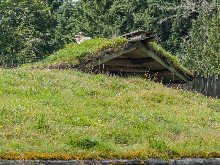 Vancouver Island Out and About