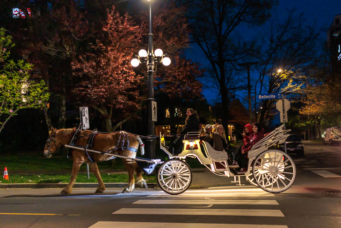 Victoria After Dark
