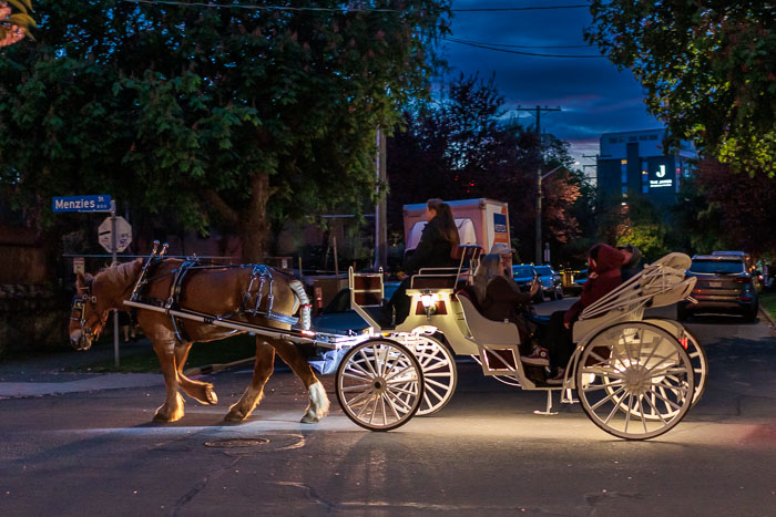 Victoria After Dark