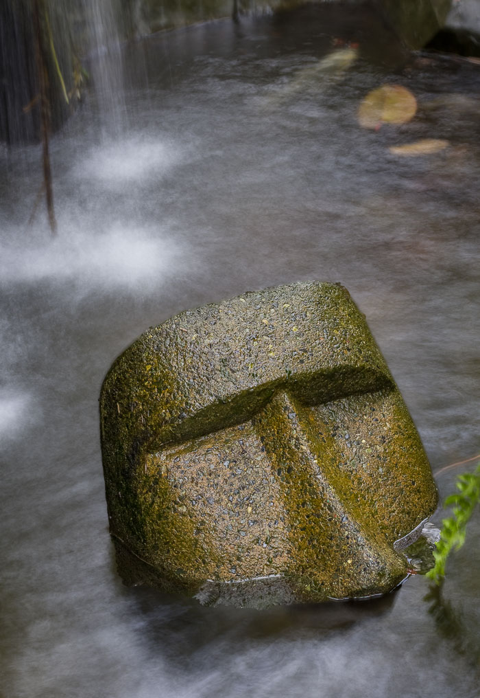 Victoria Butterfly Gardens