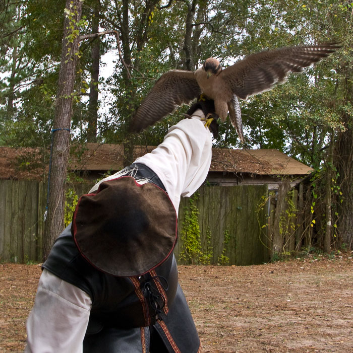 Texas Renaissance Festival