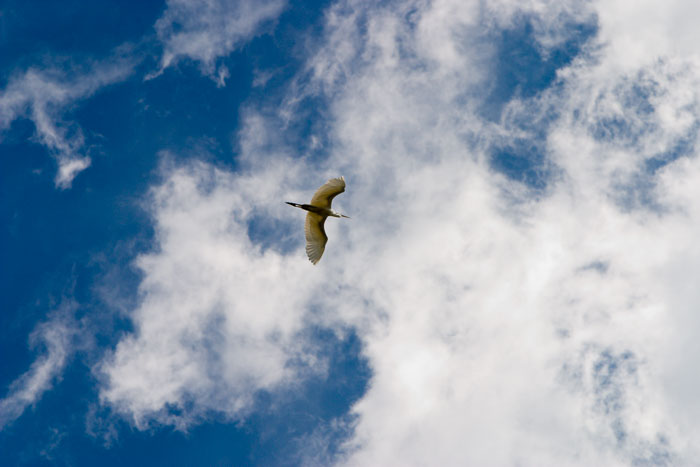 EAA AirVenture Oshkosh 